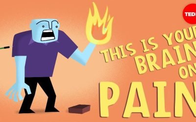 The brain’s response to pain